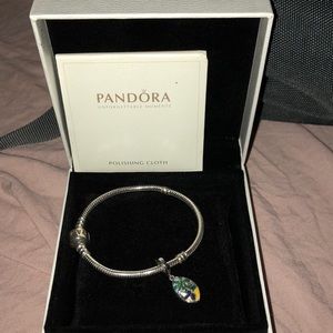 Pandora charm bracelet